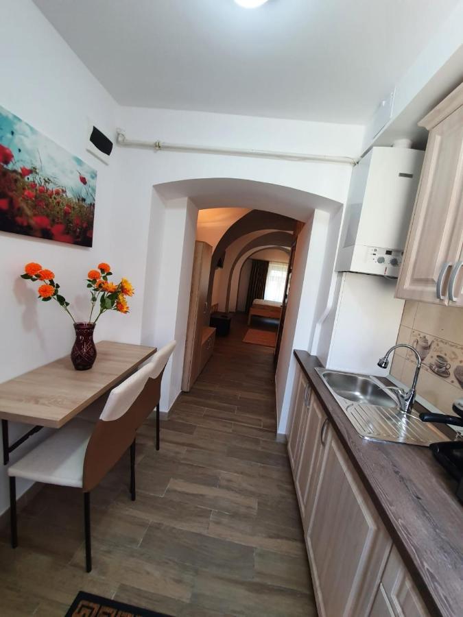 Апартаменты Radu Apartament Сибиу Экстерьер фото