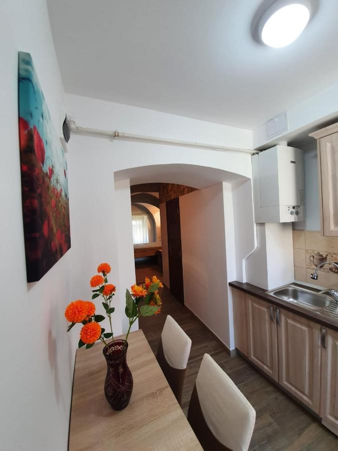 Апартаменты Radu Apartament Сибиу Экстерьер фото